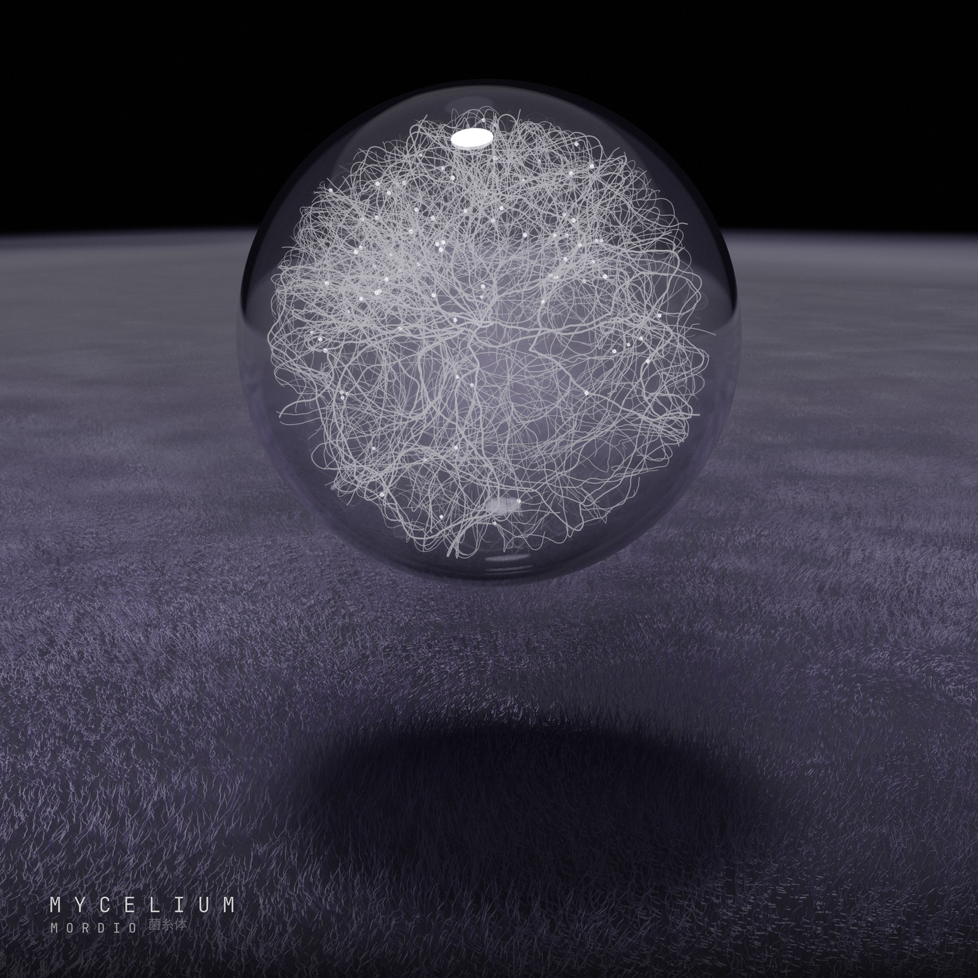 Mycelium cover